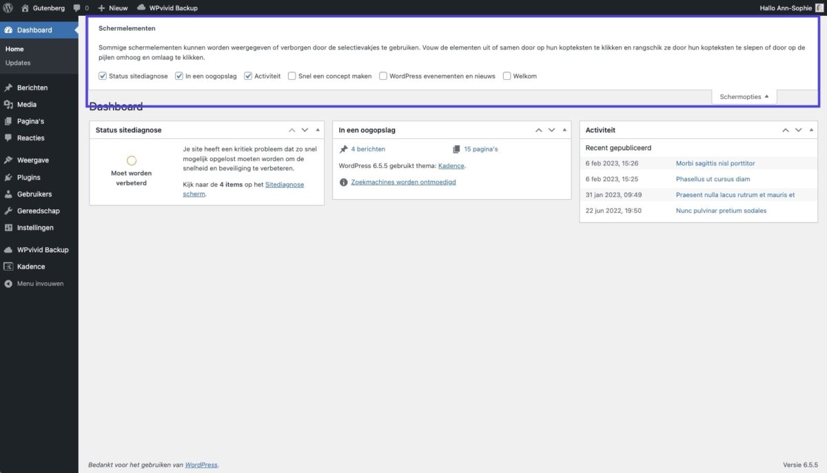 Wordpress dashboard: organiseer je wordpress meldingen met de schermopties